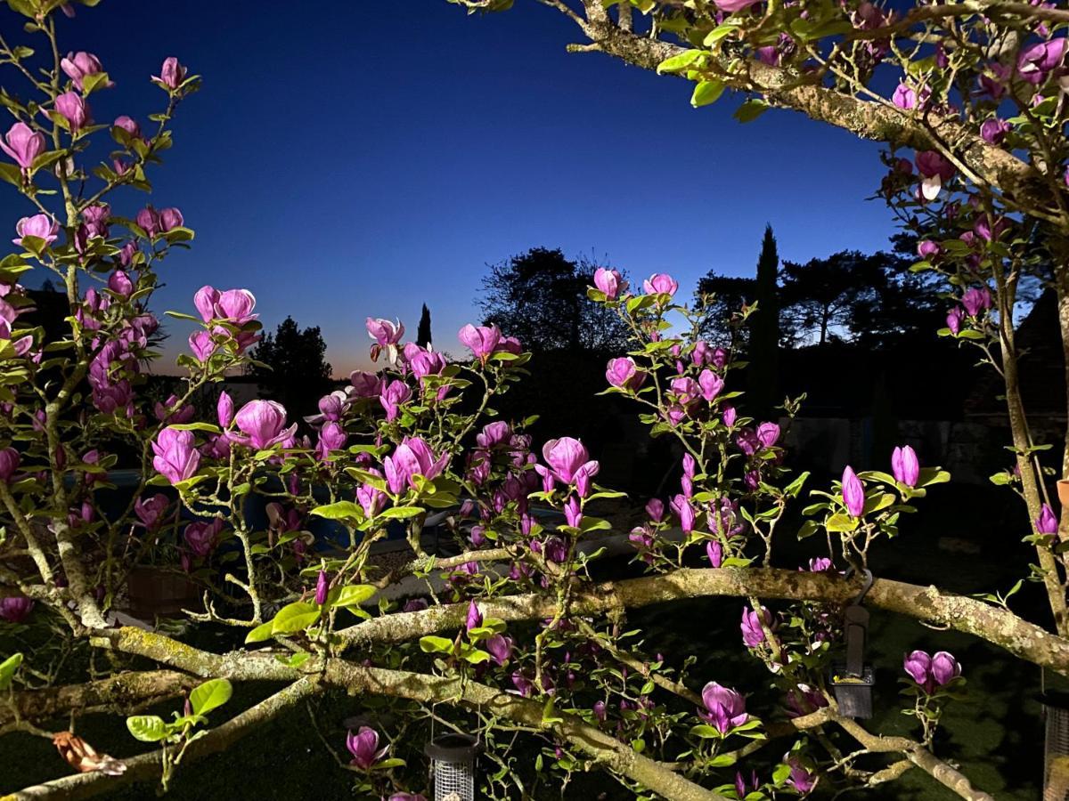 Bed and Breakfast Domaine Du Tafiart Sarron Exterior foto